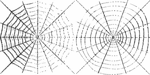 Two abstract black and white spiderwebs with a textured artistic and graphic design style