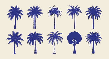 Collection of isolated blue palm tree silhouettes. A set of vector icons for tropical summer travel and vacation design concepts © John
