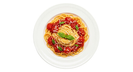 Traditional Italian spaghetti pasta dish with fresh tomato sauce, cheese, and basil on white.