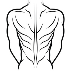 Stylized black and white illustration of a muscular human back showing defined muscles and spinal structure