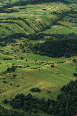 Fototapeta premium Green Mountains, Forests and Meadows from Above, Summer