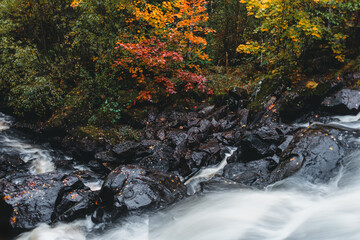 waterfall in autumn forest