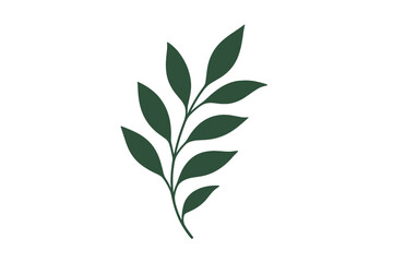Obraz premium Minimalist dark green leafy branch isolated on a white background