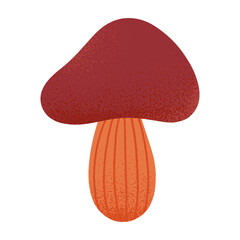 Mushroom vector isolated.Forest seasonal food.Hand drawn flat graphic illustration for prints,flyers,banners,covers,branding design,clipart.