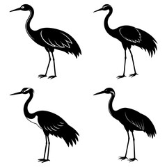 Four stylized black crane silhouettes standing in various poses against a white background image art