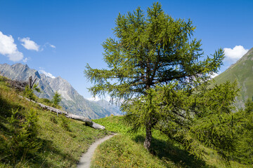This landscape photo was taken in Europe, France, Aosta Valley, in summer. It shows the path in the...