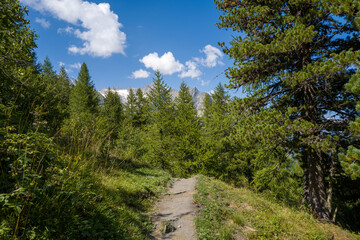 This landscape photo was taken in Europe, France, Aosta Valley, in summer. It shows the path in the...