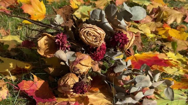Autumn Boho Bouquet Of Dried Roses Resting On Leaves