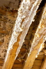 Polish Salt Mines