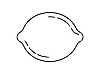 Outline depiction of lemon with segments on a plain background