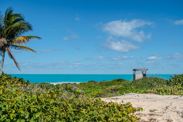  Sunny Day on a Tropical Beach