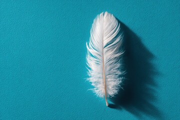 White Feather on Teal: Delicate Bird Plume on Textured Background