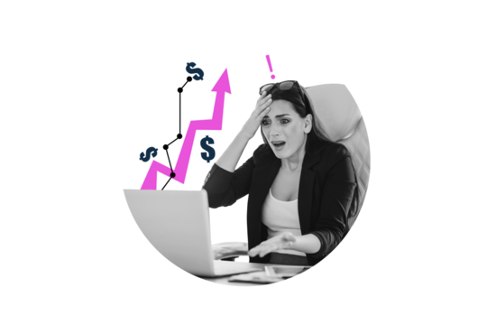 Composite photo collage of scared businesswoman work failure dollar raise inflation fund freelance problem isolated on painted background