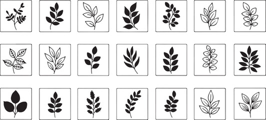 Vector art of set of leaf silhouettes in frames collection of botanical illustrations with various leaf shapes for natureinspired designs and decorations
