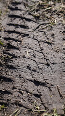 Car tire track in muddy soil after rain