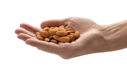 Hand holding a handful of fresh almonds. Isolated on transparent background, png