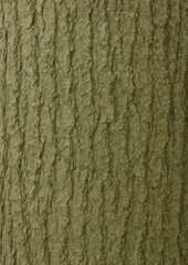 Obraz premium Textured green tree bark