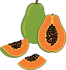 Vibrant papaya fruit illustration tropical health food vector