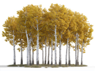 Golden Aspen Grove: A vibrant group of aspen trees showcases their stunning yellow foliage, creating a picturesque and awe-inspiring autumnal scene.