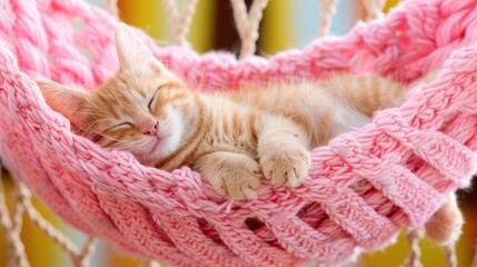 Cute Ginger Kitten Sleeping Comfortably in Soft Pink Hammock in Bright Light and Colorful Background