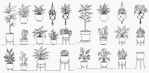 Continuous line art illustration set of various potted houseplants, including leafy plants, succulents, and hanging planters, on a transparent background.