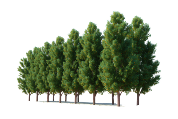 Line of Trees: A row of verdant trees stands tall, their leaves a vibrant green, reaching towards the sky in a display of natural harmony.