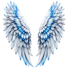 Symmetrical angel wings with white to blue gradient feathers isolated on white background for fantasy design