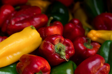 Fresh vegetables at small local urban market. Organic produce on sale at outdoor farmer market. Selling fresh crops and veggies harvest. European urban setting. Close up. Part of the series