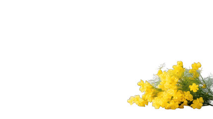 Delicate yellow flower bouquet still life with transparent background