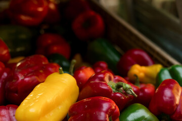 Fresh vegetables at small local urban market. Organic produce on sale at outdoor farmer market. Selling fresh crops and veggies harvest. European urban setting. Close up. Part of the series