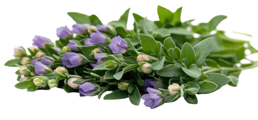Delicate purple flower arrangement with green foliage isolated on transparent background