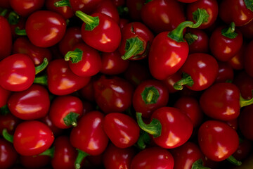 Fresh vegetables at small local urban market. Organic produce on sale at outdoor farmer market. Selling fresh crops and veggies harvest. European urban setting. Close up. Part of the series