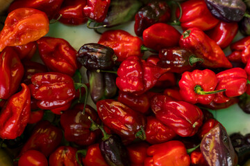 Fresh vegetables at small local urban market. Organic produce on sale at outdoor farmer market. Selling fresh crops and veggies harvest. European urban setting. Close up. Part of the series
