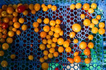 Fresh vegetables at small local urban market. Organic produce on sale at outdoor farmer market. Selling fresh crops and veggies harvest. European urban setting. Close up. Part of the series
