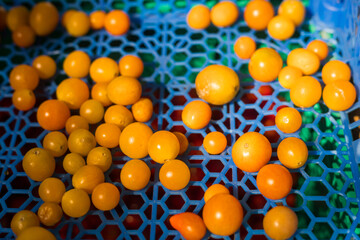 Fresh vegetables at small local urban market. Organic produce on sale at outdoor farmer market. Selling fresh crops and veggies harvest. European urban setting. Close up. Part of the series