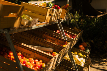 Fresh vegetables at small local urban market. Organic produce on sale at outdoor farmer market. Selling fresh crops and veggies harvest. European urban setting. Close up. Part of the series