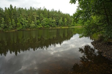 Fototapeta premium pond in the Pollwitz Forest near zeulenroda in Thuringia