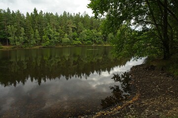 pond in the Pollwitz Forest near zeulenroda in Thuringia