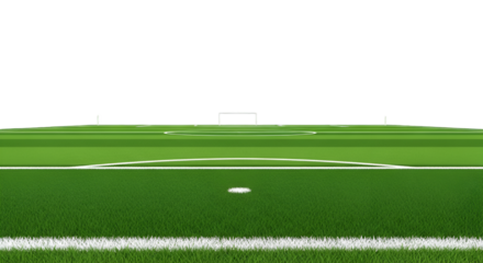 A Digital Soccer Field with Goal and Markings