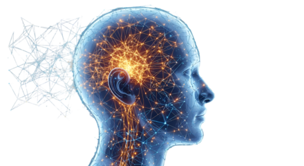 Digital Brain Network with Neural Connections