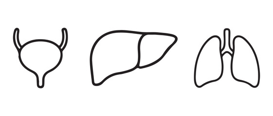 Human Organ Icon Set. Line Art Illustrations of Bladder, Liver, and Lungs for Medical and Educational Design.