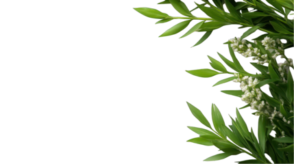 Floral arrangement with greenery and small white flowers transparent background