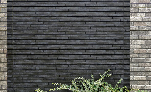 外壁と植物の背景素材