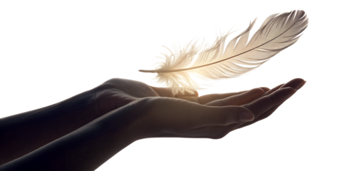 Single light feather resting on open palms, transparent background, subtle light glow, minimalist peaceful composition.