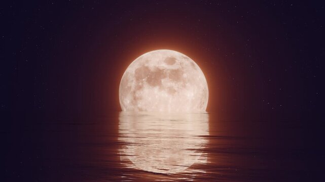 Full moon over the ocean at night with twinkling stars. Stylized looped animation. 3d rendering