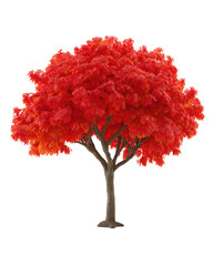 Crimson Majesty: A vibrant tree stands in its full glory, showcasing a radiant display of fiery red foliage, a testament to the beauty of nature's artistry.