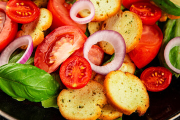 Panzanella salad tomato, croutons, onions vegetables dish natural product tasty snack fresh delicious gourmet food background on the table rustic top view copy space