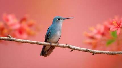 A solitary hummingbird perches gracefully on a delicate branch, framed by vibrant blossoms and a soft pink backdrop, showcasing the beauty of the environment.
