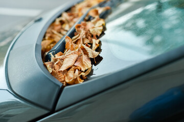 A close-up, horizontal shot shows a pile of dry, golden-brown autumn leaves collected at the base of a car windshield, next to the wipers. It captures the essence of the fall season.