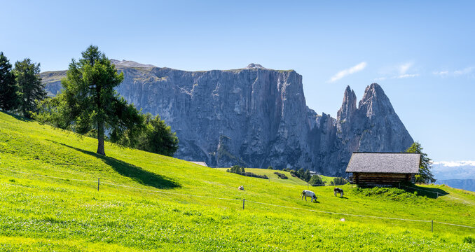 landscape of Alpe di Siusi in Dolomites in Alto Adige in Italy